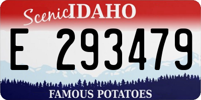 ID license plate E293479