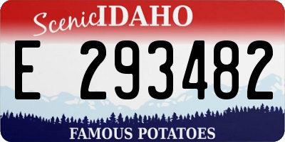 ID license plate E293482