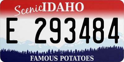 ID license plate E293484