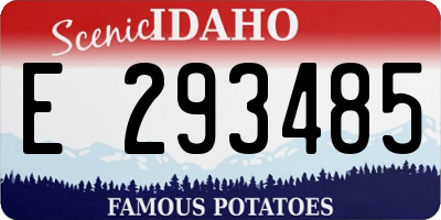 ID license plate E293485