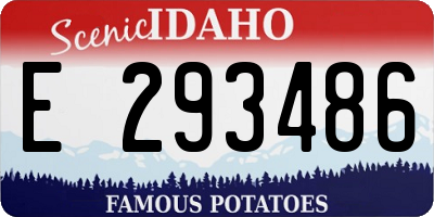 ID license plate E293486