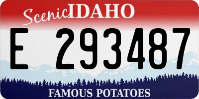 ID license plate E293487