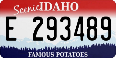 ID license plate E293489