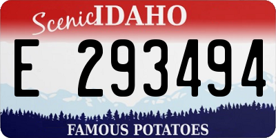 ID license plate E293494