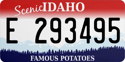 ID license plate E293495
