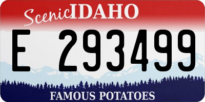 ID license plate E293499