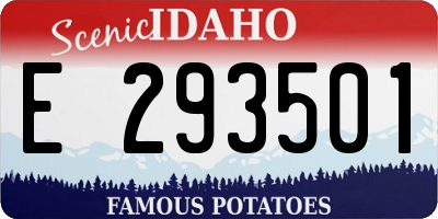 ID license plate E293501