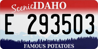 ID license plate E293503