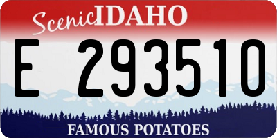 ID license plate E293510