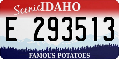 ID license plate E293513