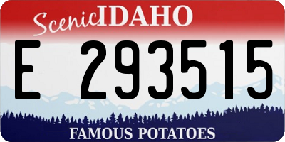 ID license plate E293515