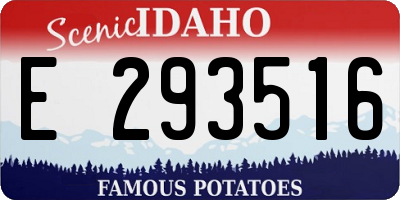 ID license plate E293516