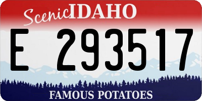 ID license plate E293517