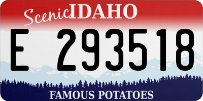 ID license plate E293518