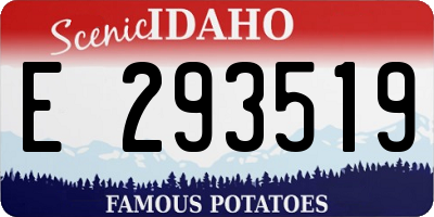 ID license plate E293519