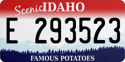 ID license plate E293523