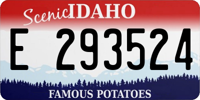 ID license plate E293524