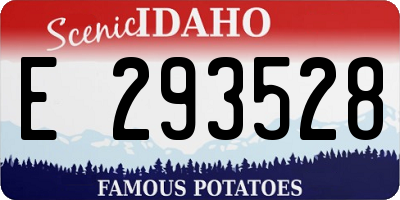 ID license plate E293528