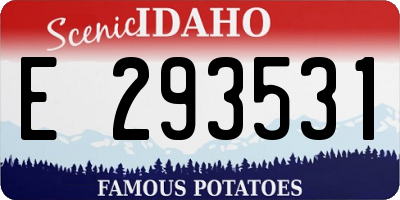 ID license plate E293531