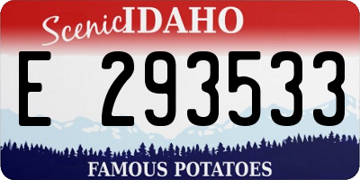 ID license plate E293533