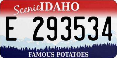 ID license plate E293534