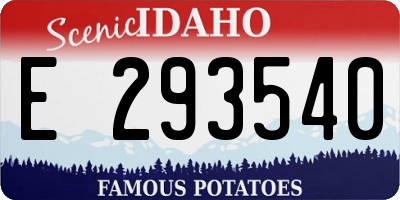 ID license plate E293540
