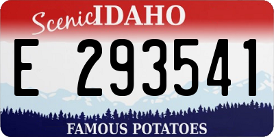 ID license plate E293541