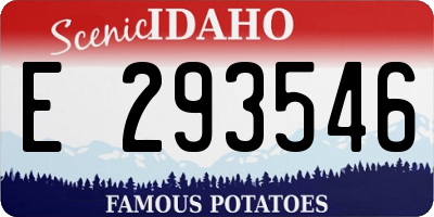 ID license plate E293546