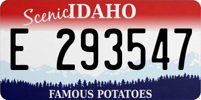 ID license plate E293547