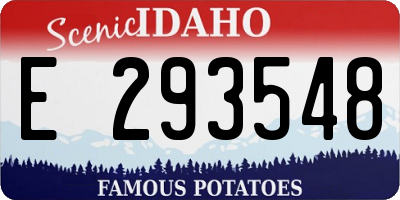 ID license plate E293548