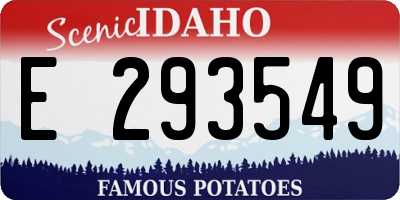 ID license plate E293549