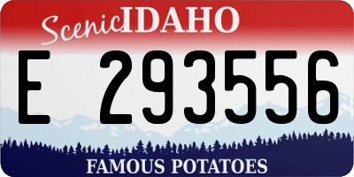 ID license plate E293556