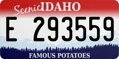 ID license plate E293559