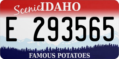 ID license plate E293565