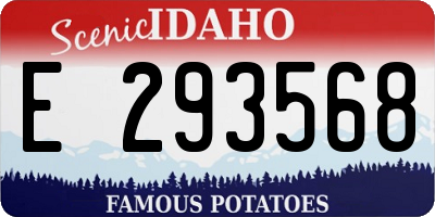 ID license plate E293568