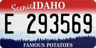 ID license plate E293569