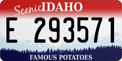 ID license plate E293571