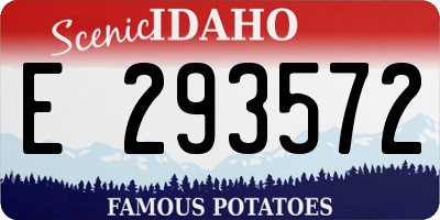 ID license plate E293572