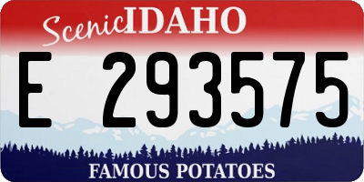ID license plate E293575