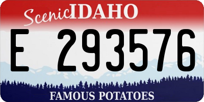 ID license plate E293576