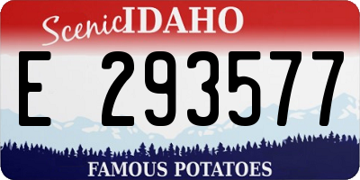 ID license plate E293577