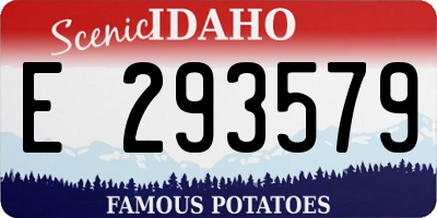 ID license plate E293579
