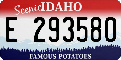 ID license plate E293580