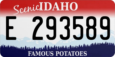 ID license plate E293589