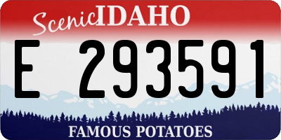 ID license plate E293591