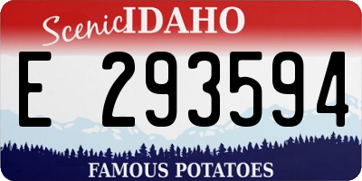 ID license plate E293594