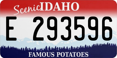 ID license plate E293596