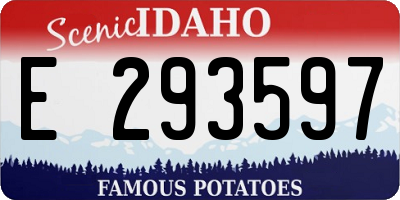 ID license plate E293597