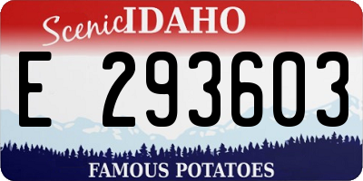 ID license plate E293603