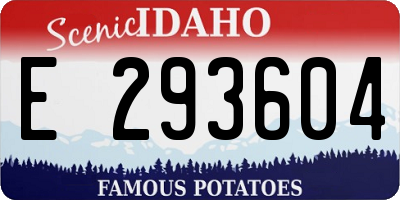 ID license plate E293604